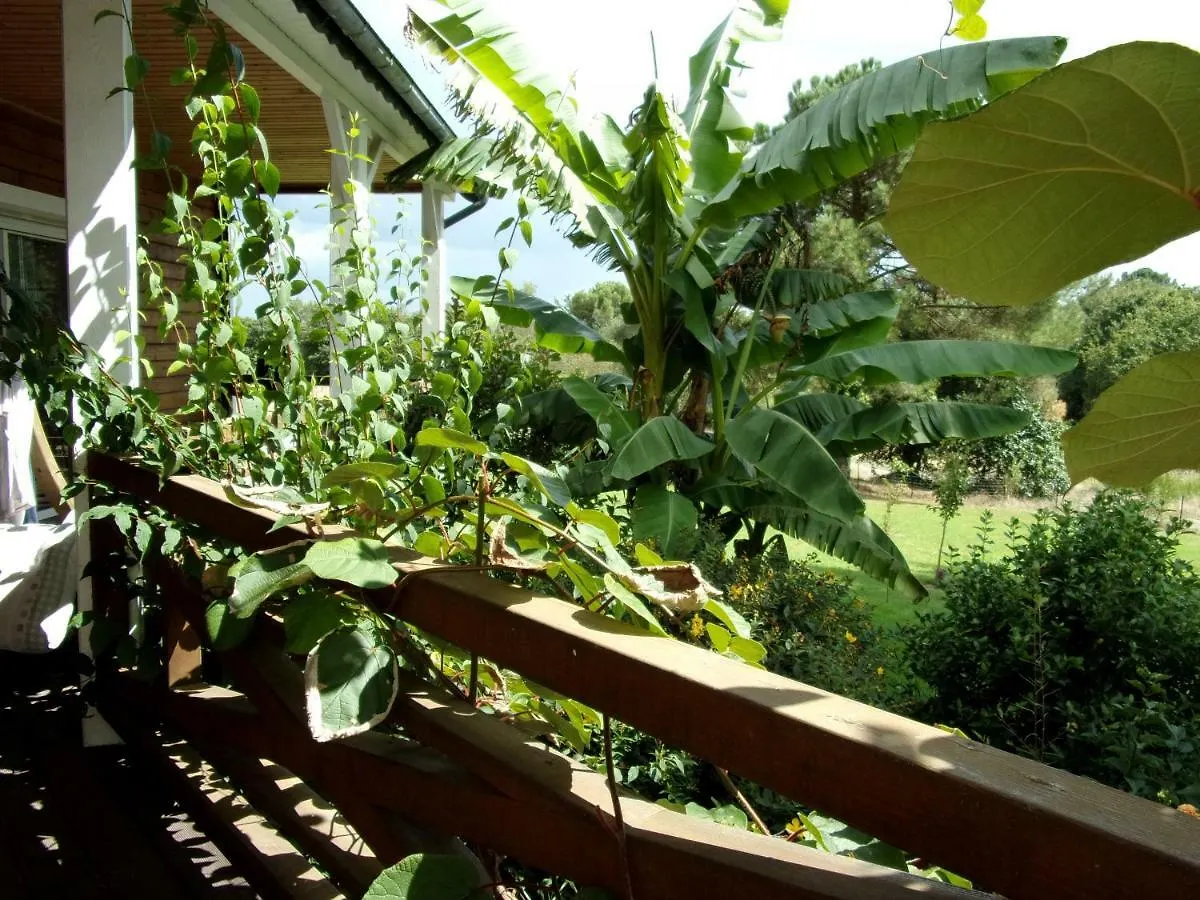 La Lande Du Cas Bed and Breakfast La Gacilly Γαλλία